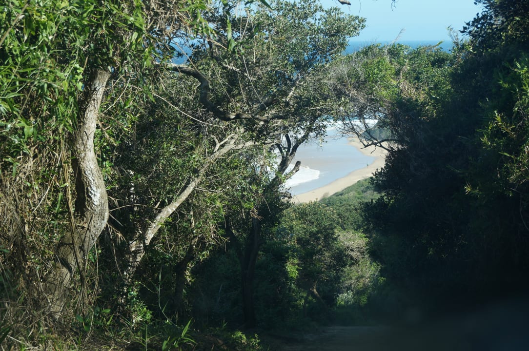 Blick auf den Strand bei der Anfahrt Hotel Thonga Beach Lodge
