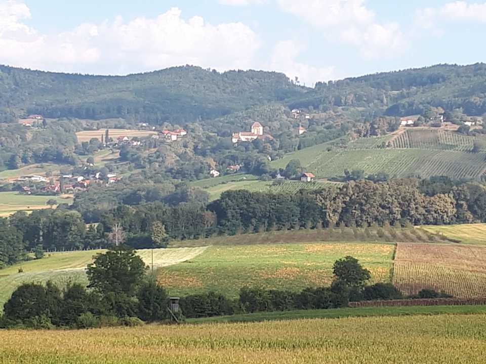 Außenansicht Wilfinger Ring Bio Hotel