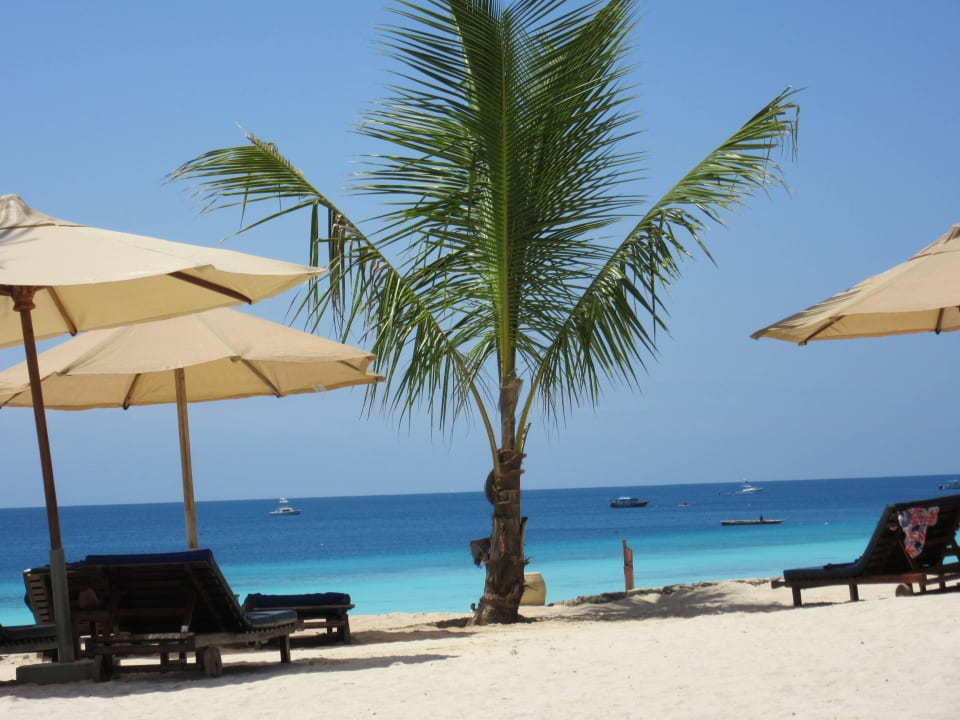 Aussicht von unserer Liege Royal Zanzibar Beach Resort