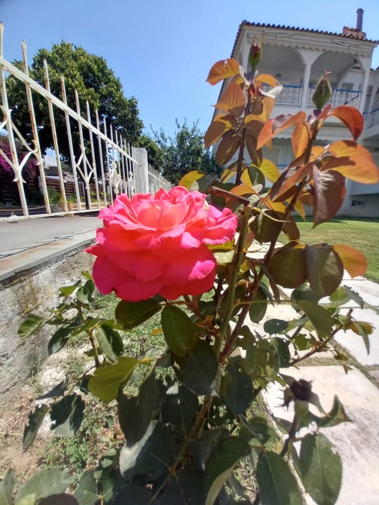 Gartenanlage Greek Pride Villa Ellada