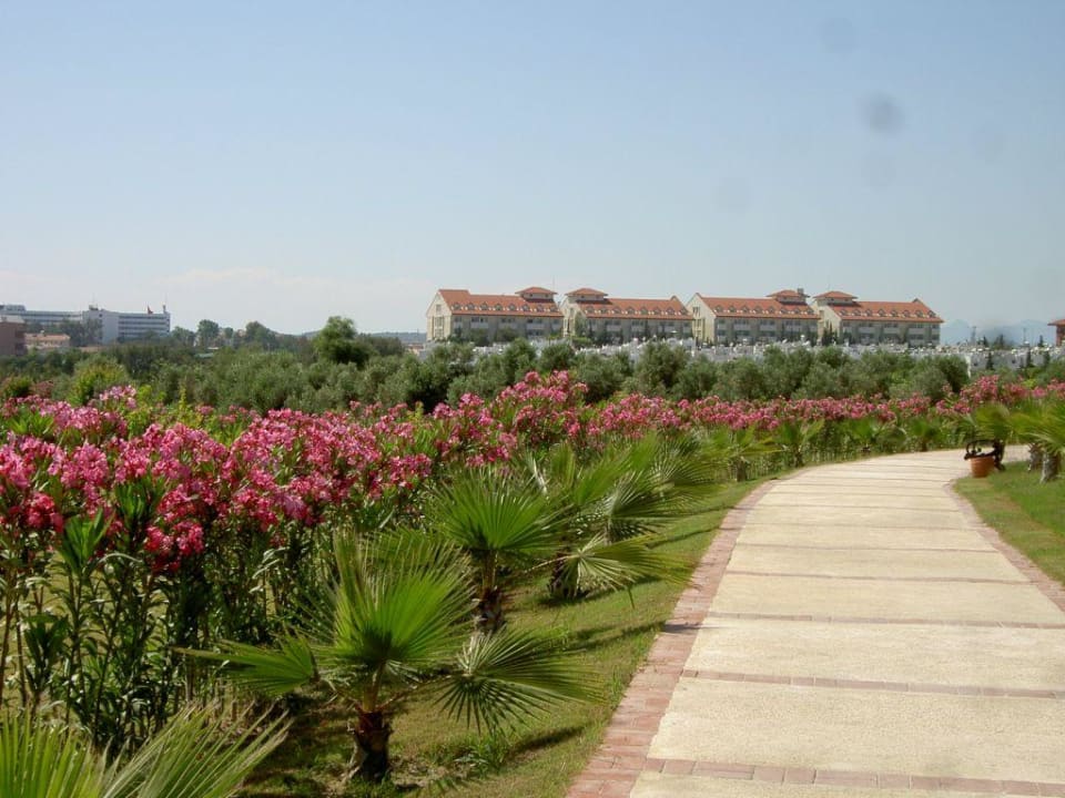 Gartenanlage Alba Resort Hotel