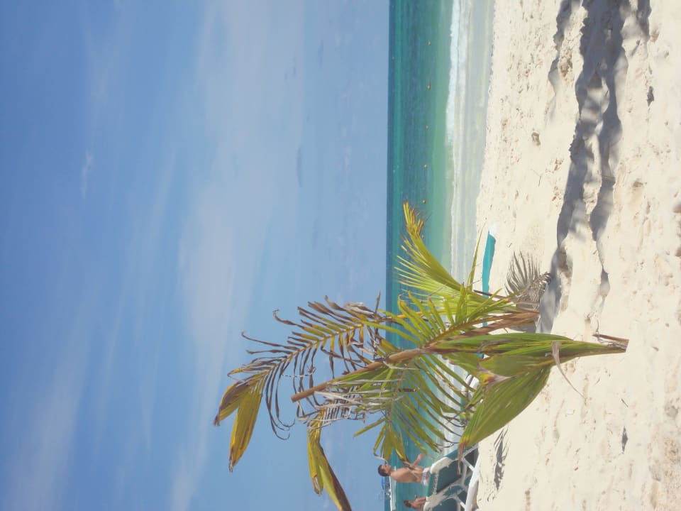 Hotel Catalonia Playa Maroma Catalonia Playa Maroma