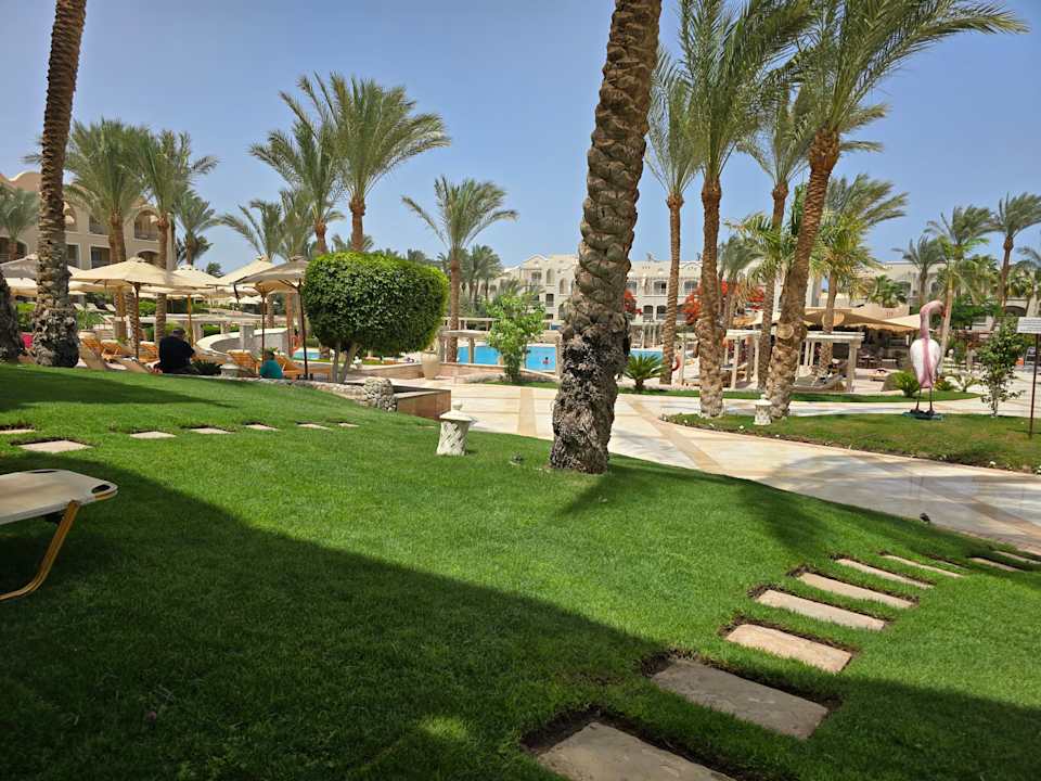 Pool Hotel JAZ Makadi Star & Spa