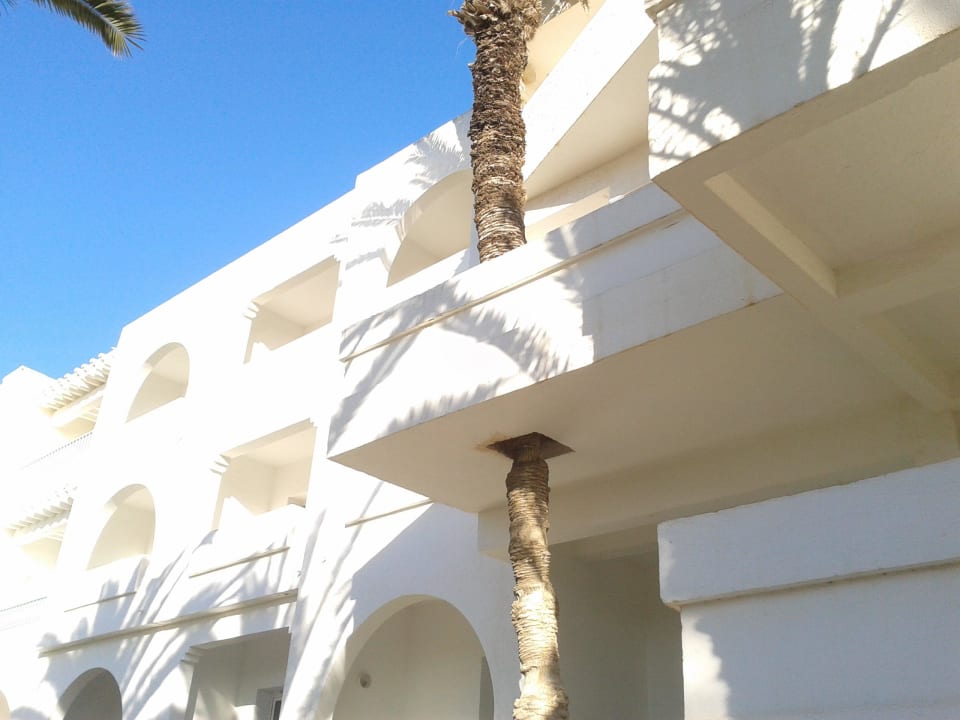 Wohin mit der Palme Hotel El Mouradi Port El Kantaoui