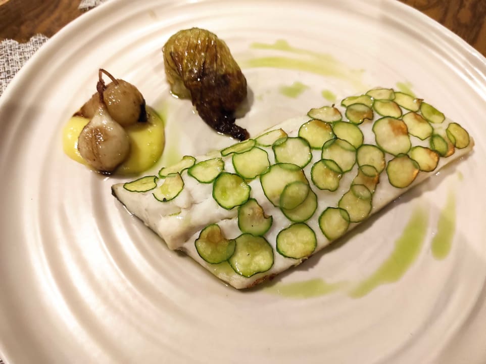 Gastro Acanthus Cennet Barut Collection