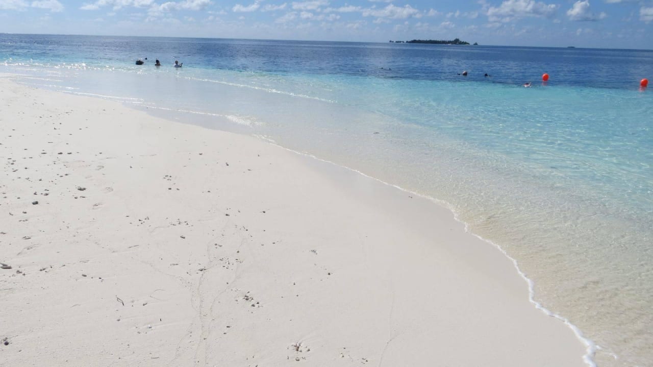 Hotel Fihalhohi Island Resort Fihalhohi Maldives
