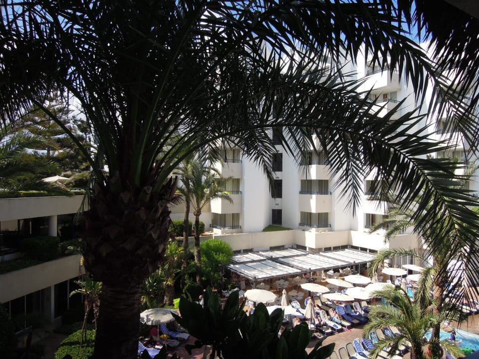 Pool Hipotels Bahia Grande