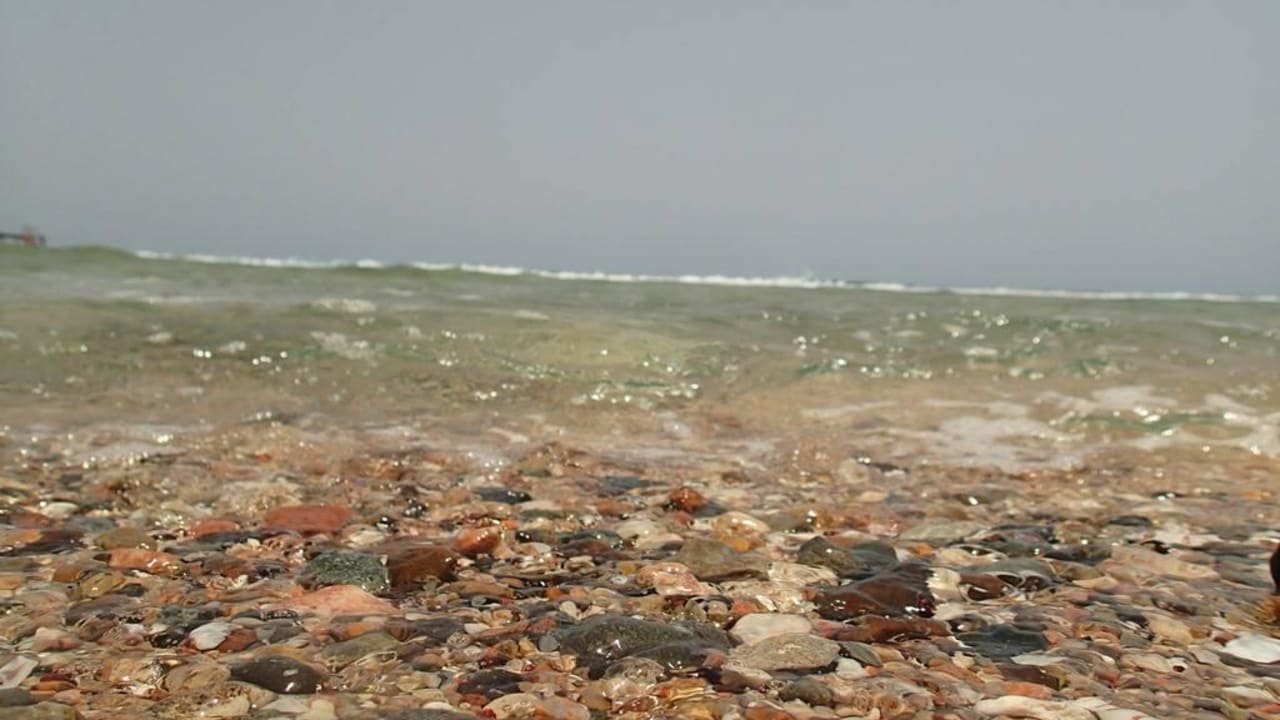 Widok z plaży Three Corners Sea Beach Resort