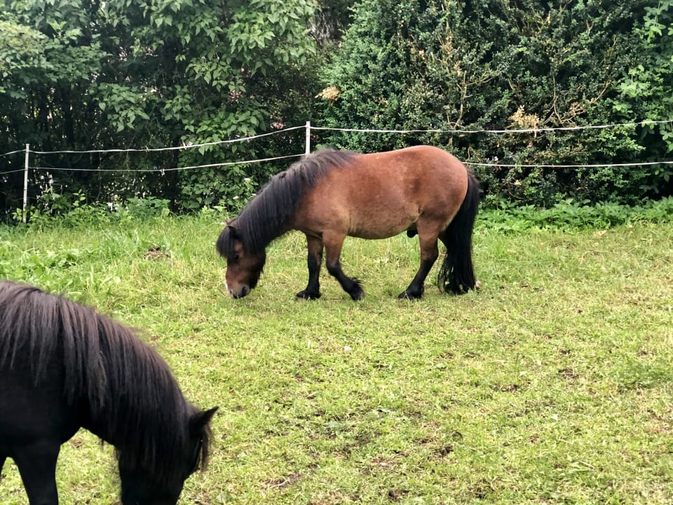 Sonstiges KASSNHOF - Urlaub in den Bergen