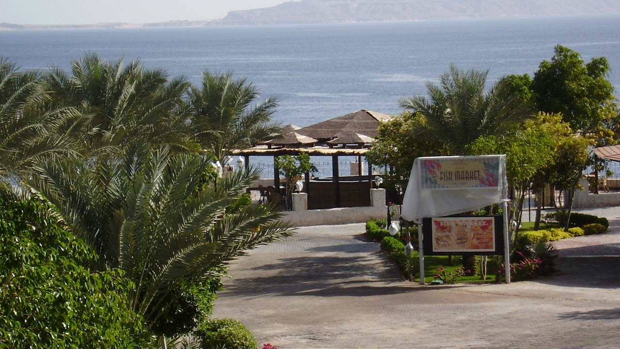 Ogród Sultan Gardens Resort