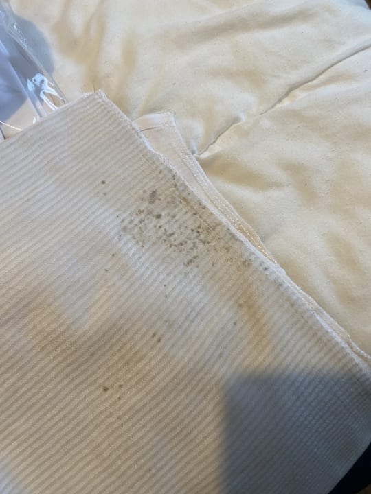 Zimmer Holiday park Slagharen Slagharen - FRI20006-MYA