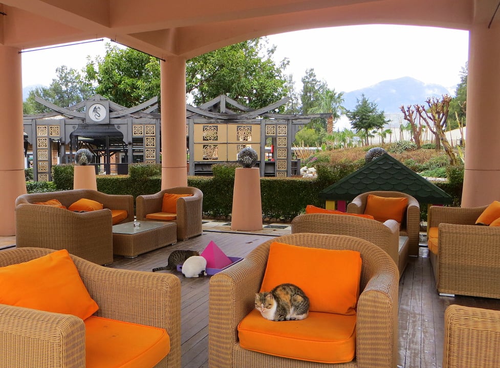 Restaurant Limak Limra Hotel & Resort