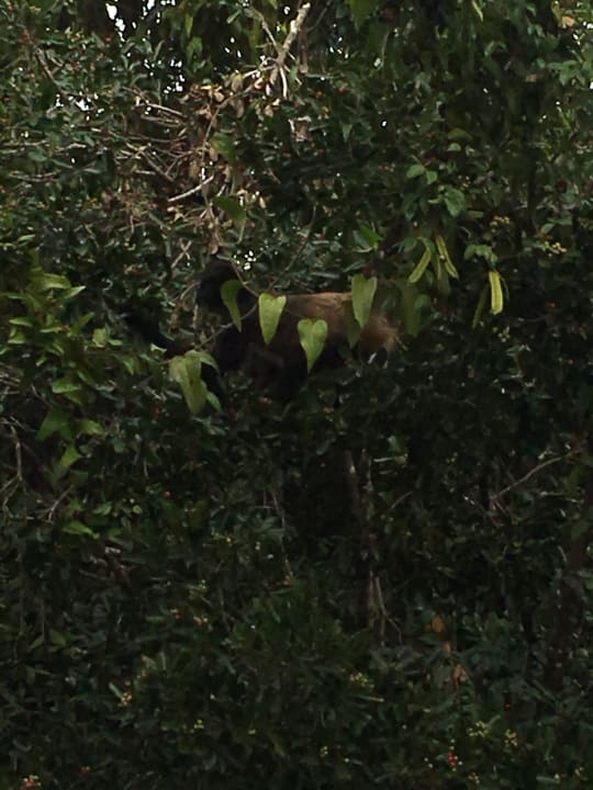 Zimmer Grand Palladium Kantenah Resort & Spa