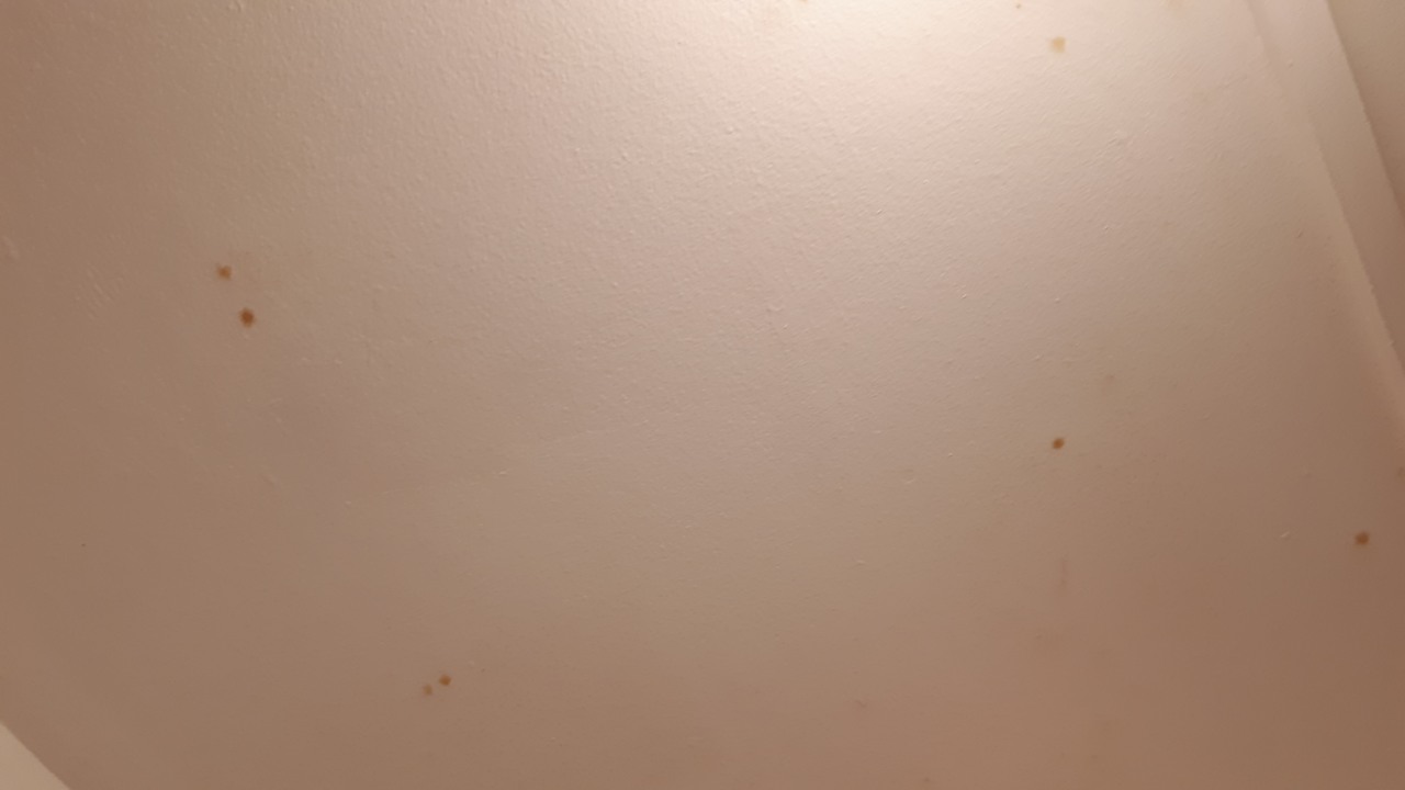 Zimmer Ambassadors Hotel