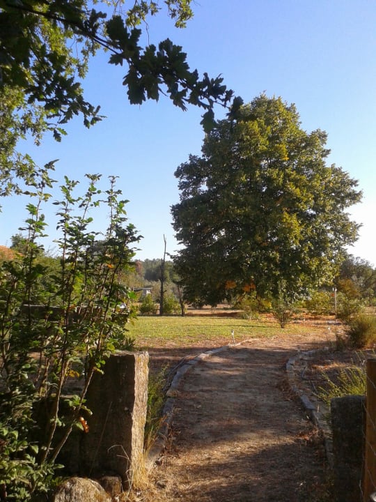 Path to the Houses Casa das Palmeiras