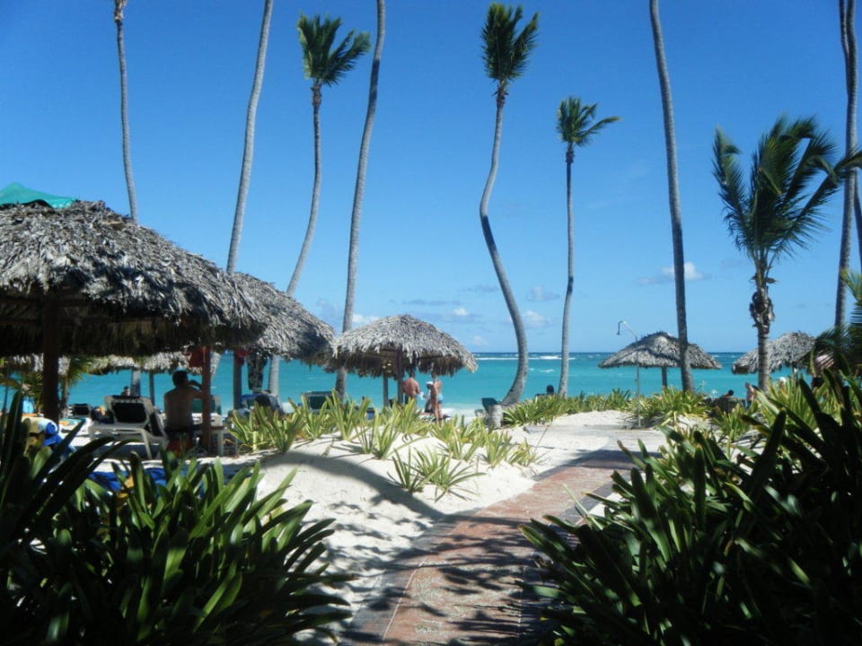 Unser täglicher Weg zum Traumstrand Grand Palladium Select Bávaro Resort & Spa