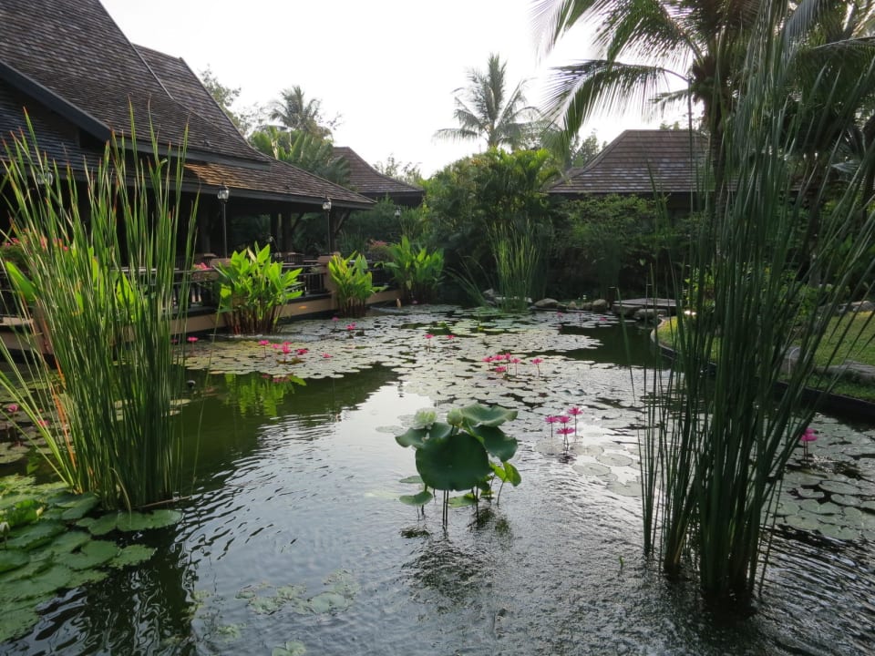 Superschön und gepflegt Bo Phut Resort & Spa