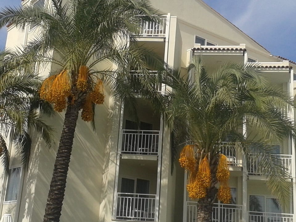 Zimmer von  PALOMA Perissia