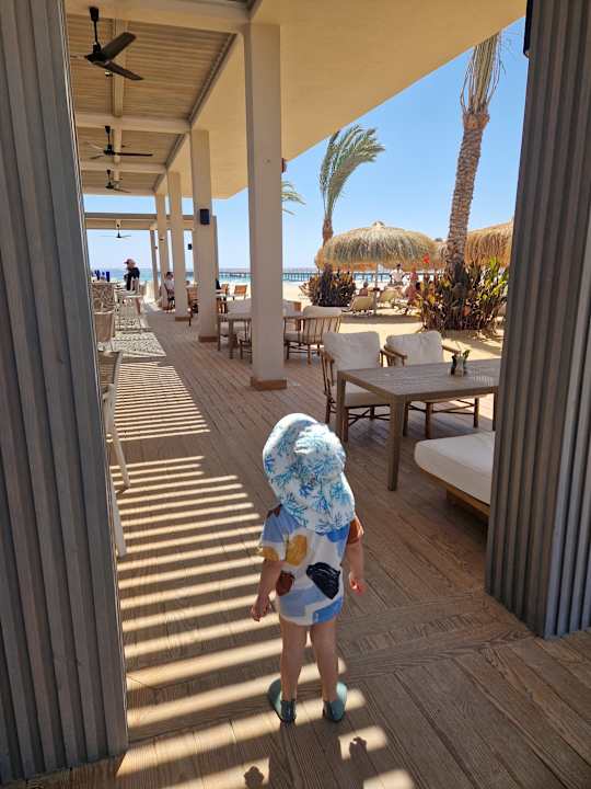 Gastro JAZ Elite Amara