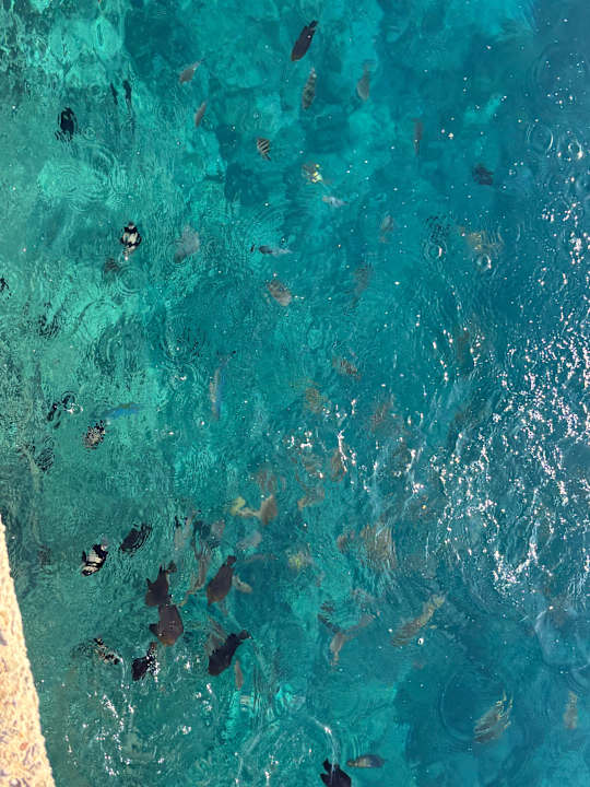 Strand Beach Albatros Resort