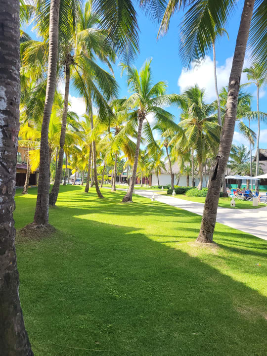 Außenansicht Caribe Deluxe Princess