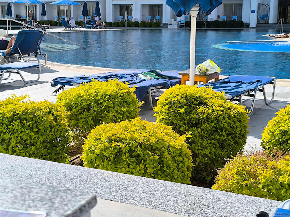 Pool Pickalbatros Blu Spa Resort