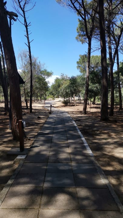 Gartenanlage TUI MAGIC LIFE Calabria