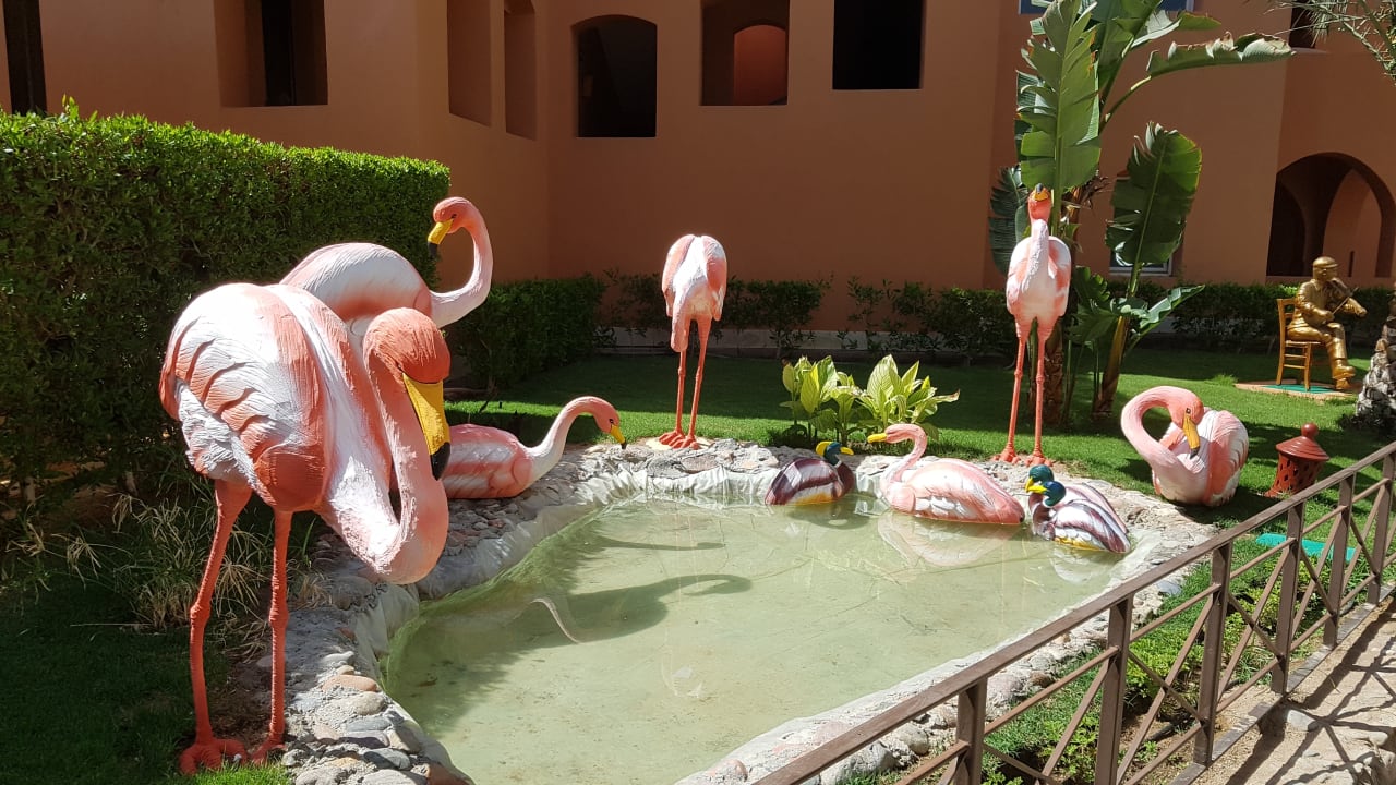 Gartenanlage Jaz Makadi Oasis Resort