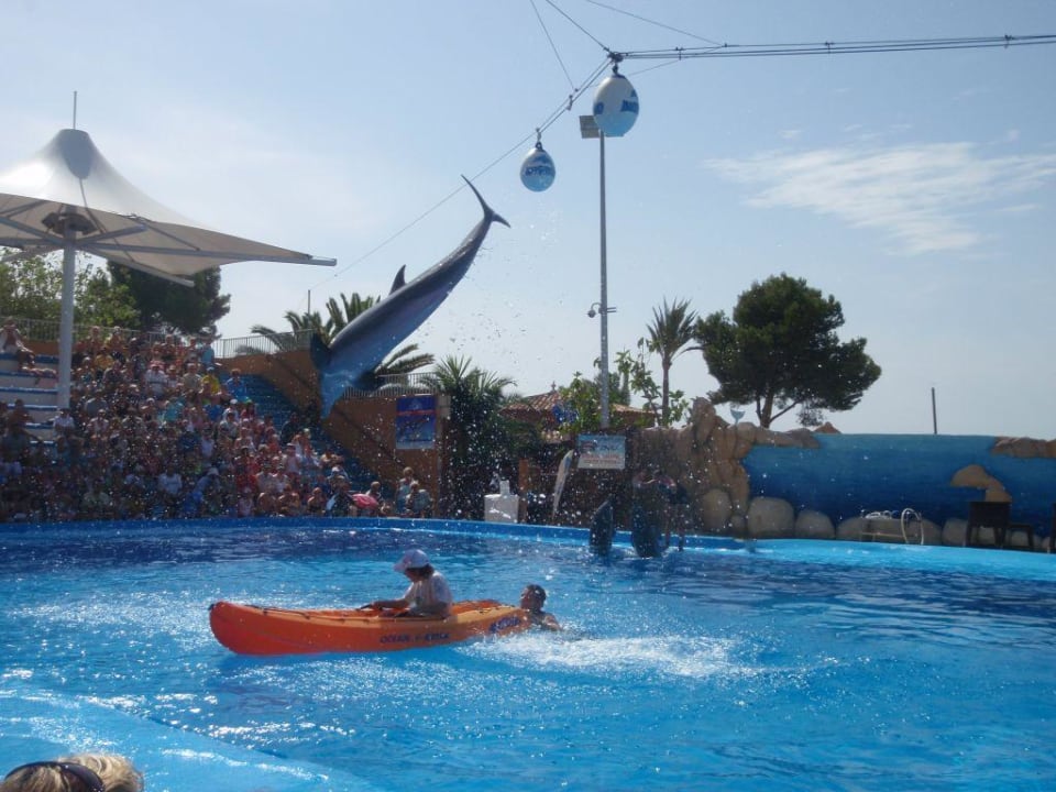 Marineland - zoo BQ Belvedere Hotel