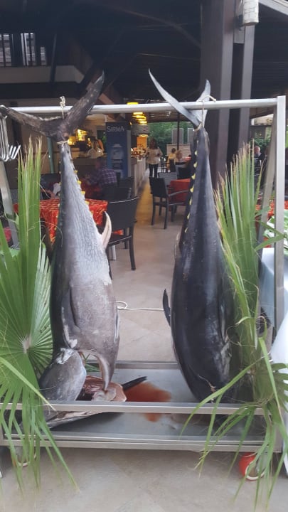 Fischabend Seamelia Beach Resort