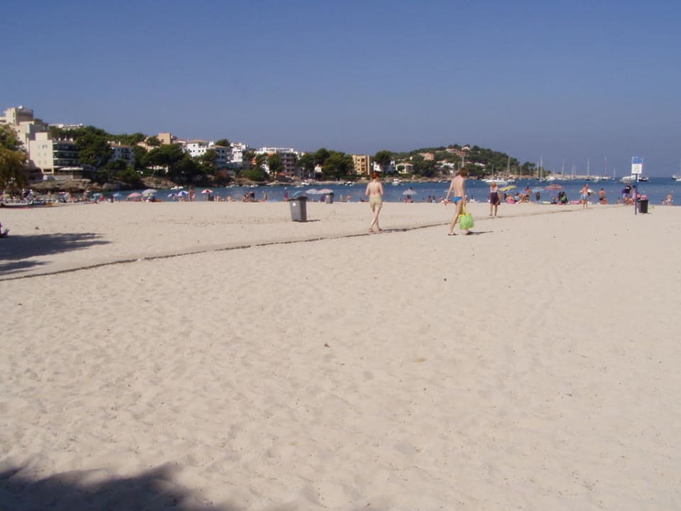 Strand linksseitig Hotel Santa Ponsa Pins