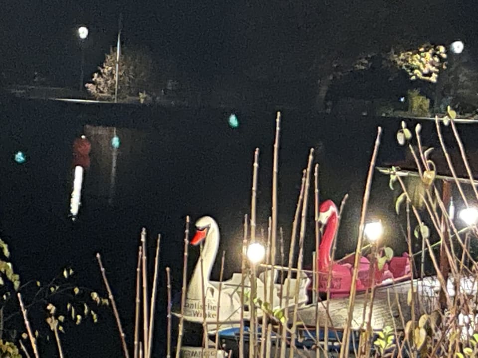 Sonstiges Romantischer Winkel RoLigio® & Wellness Resort