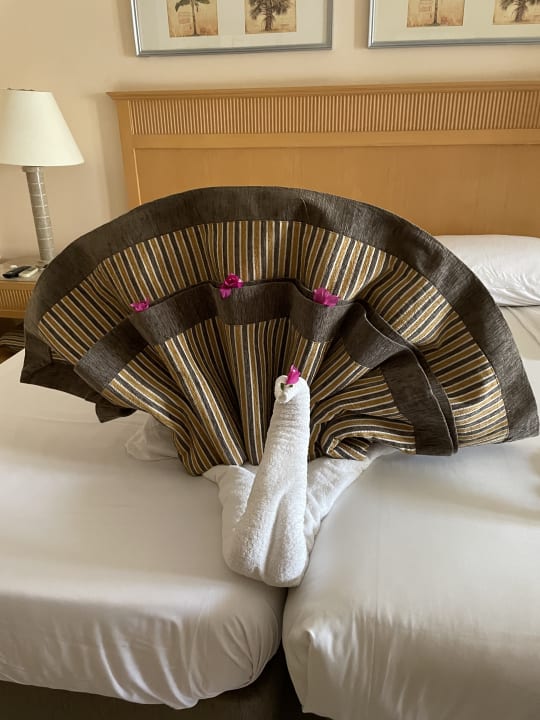 Zimmer Hotel JAZ Makadi Star & Spa