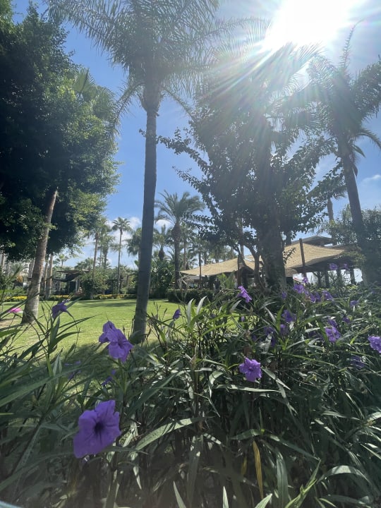 Gartenanlage Arycanda Kirman Premium