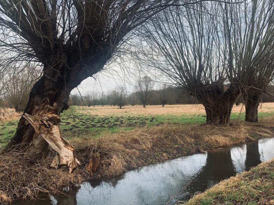 Gartenanlage Hotel Gutshaus Redewisch