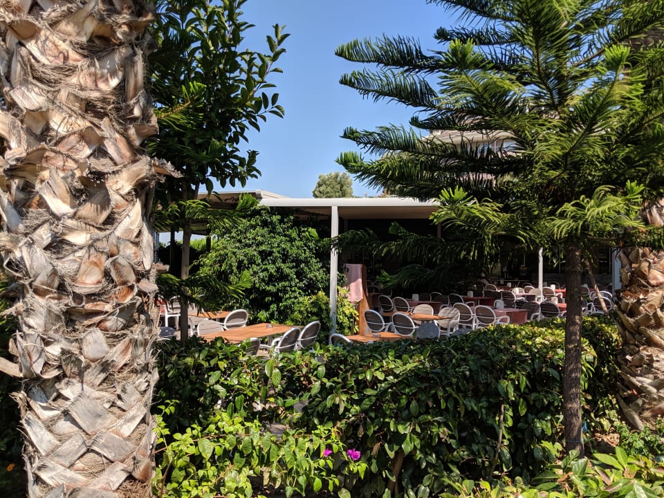 Gartenanlage Sunmelia Beach Resort