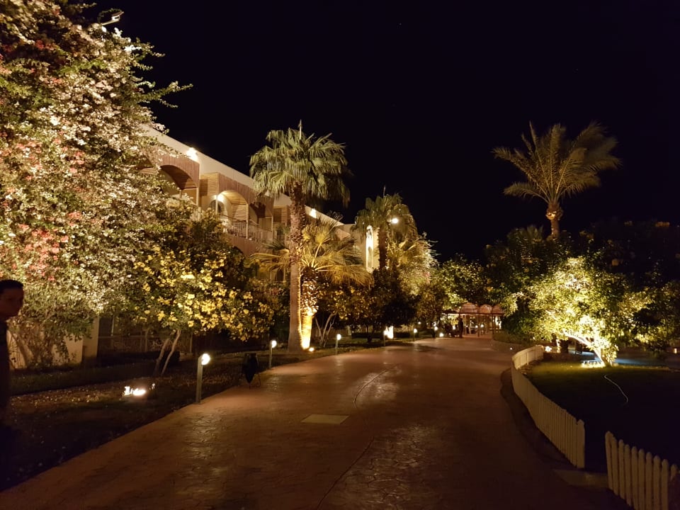 Außenansicht Desert Rose