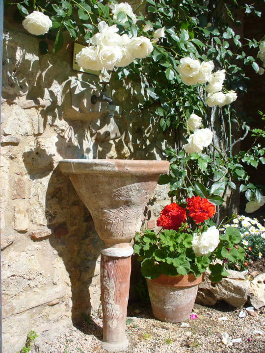 Gartenanlage Agriturismo di Charme Fortezza de' Cortesi