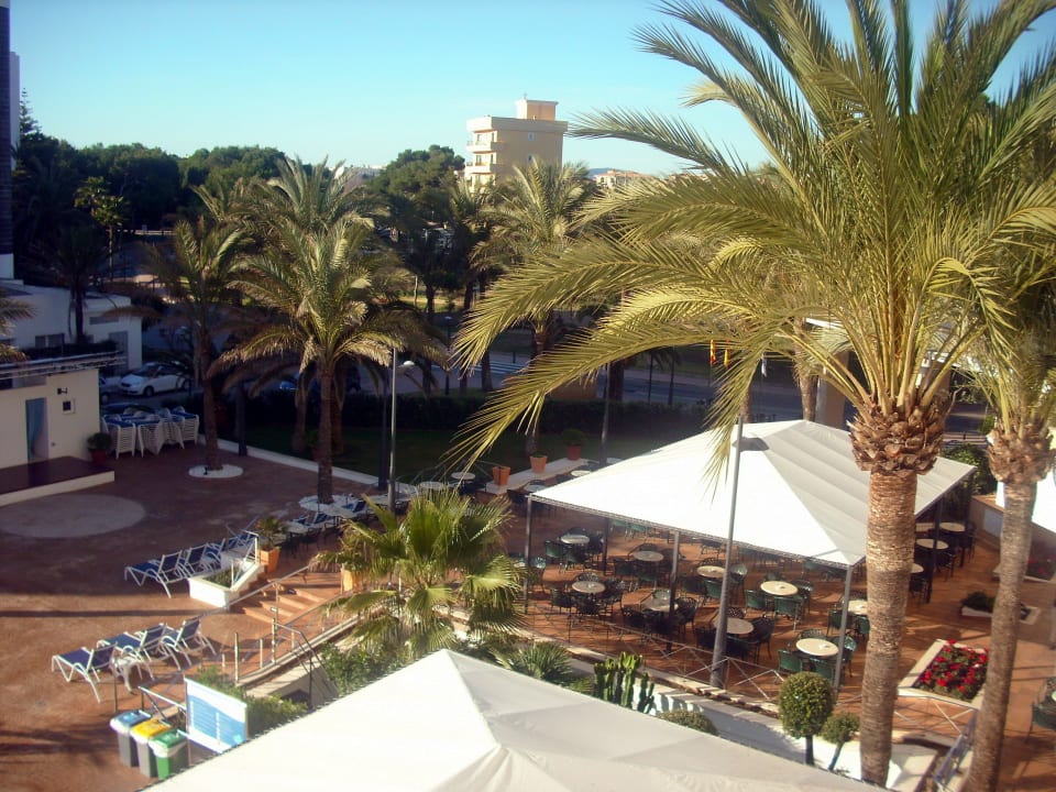 Pool- und Gartenanlage Hipotels Hipocampo Playa