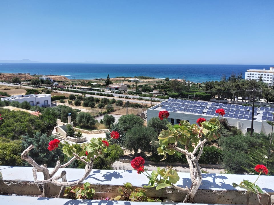 Ausblick Oasis Scaleta Hotel