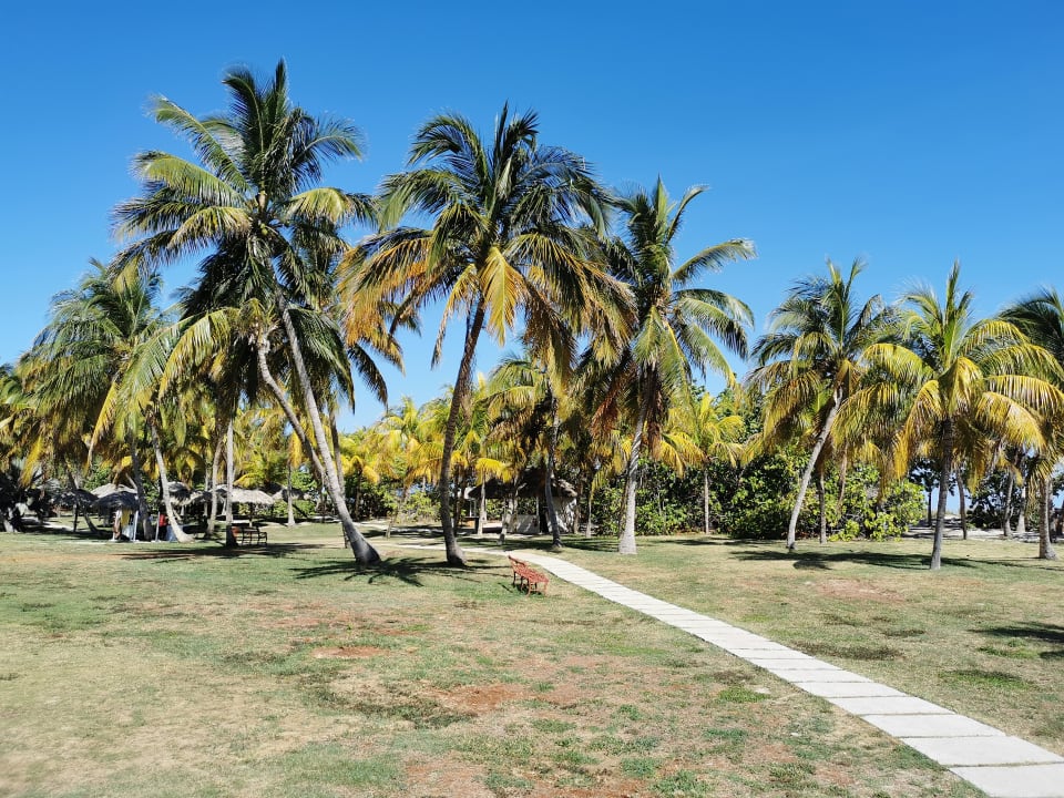 Gartenanlage Sol Varadero Beach