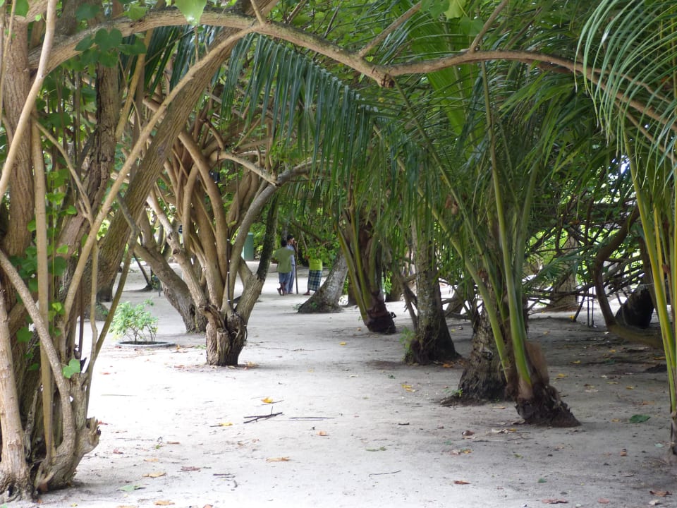 Durchgang Embudu Village