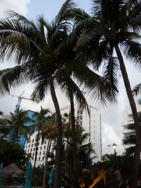 Beim Pool Hotel Riu Plaza Miami Beach