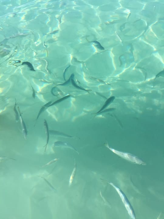 Strand Dreams La Romana Resort & Spa