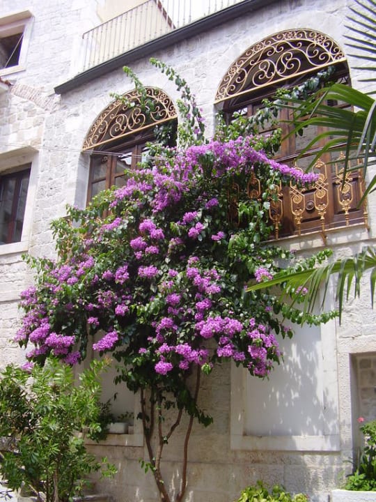 Garden Hotel Palace Derossi