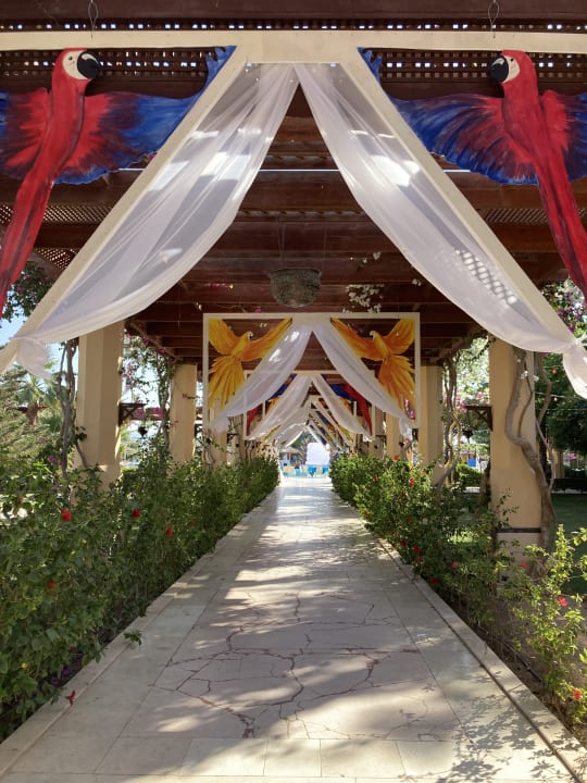 Gartenanlage ROBINSON SOMA BAY