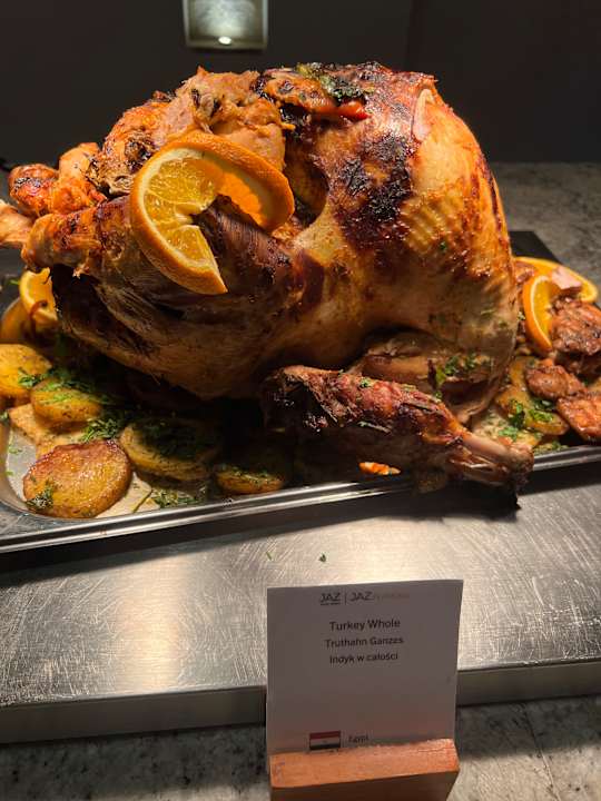 Gastro JAZ Elite Amara