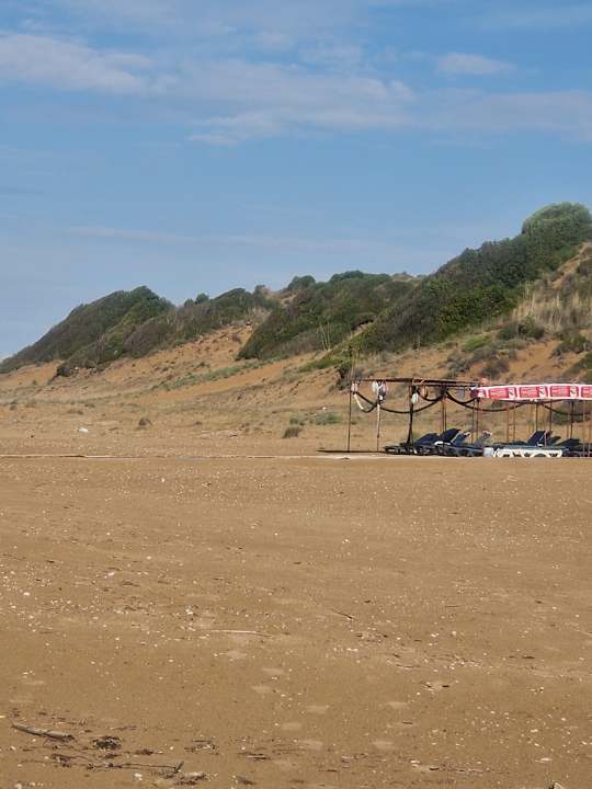 Strand Seashell Vega