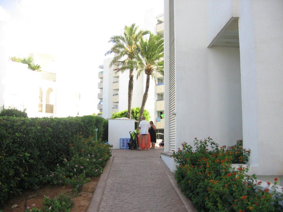 2. Weg zum Strand Hipotels Bahia Grande