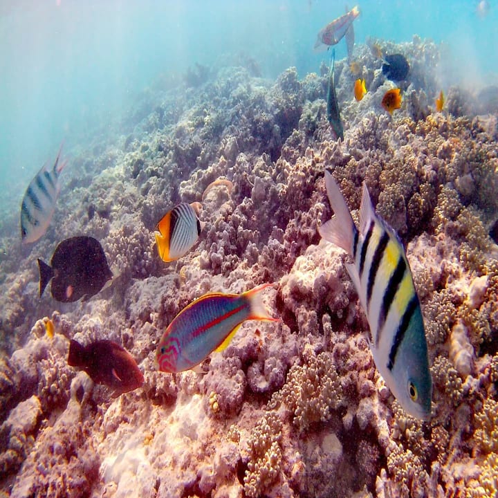 Sport & Freizeit Cleopatra Luxury Resort Makadi Bay